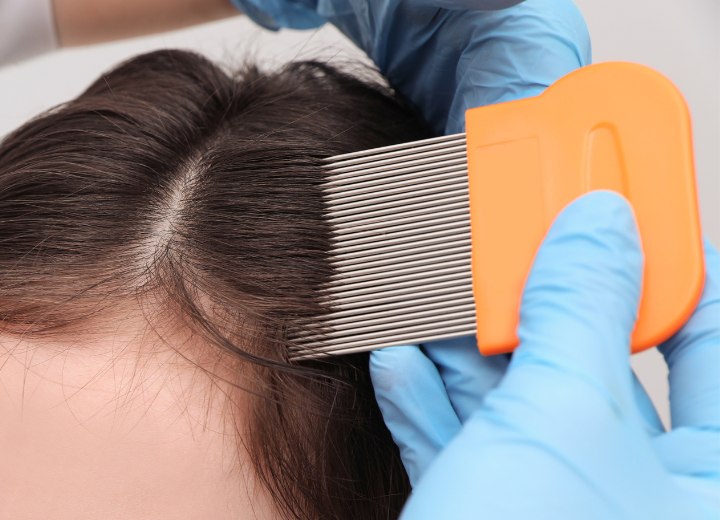 Pente para remover piolhos