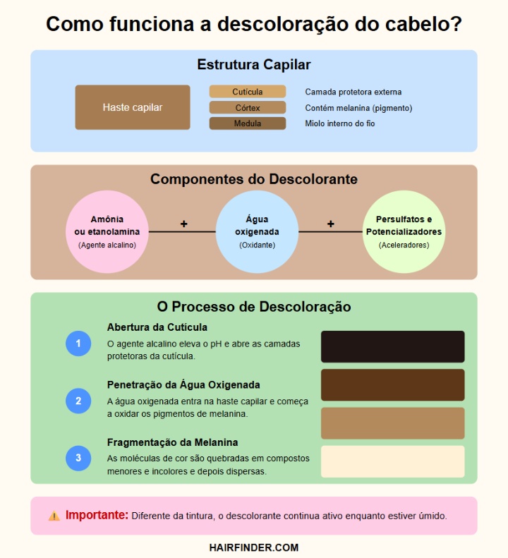 Infogr&aacute;fico - Como funciona o descolorante capilar