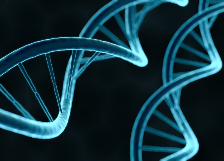 DNA de uma pessoa