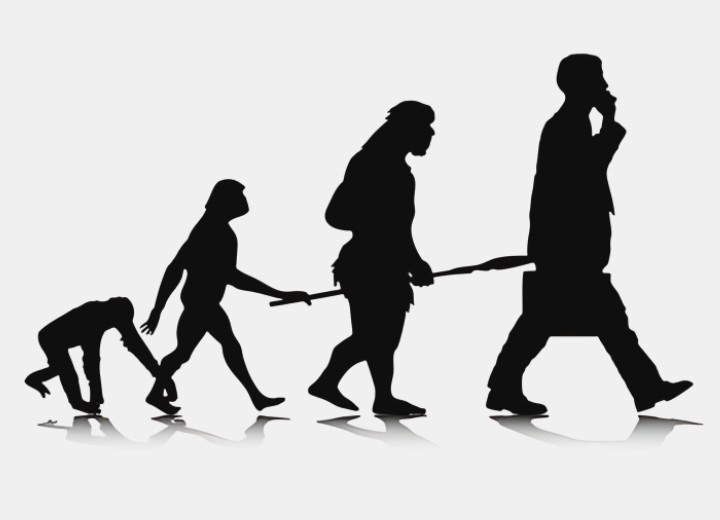 Evolu&ccedil;&atilde;o humana